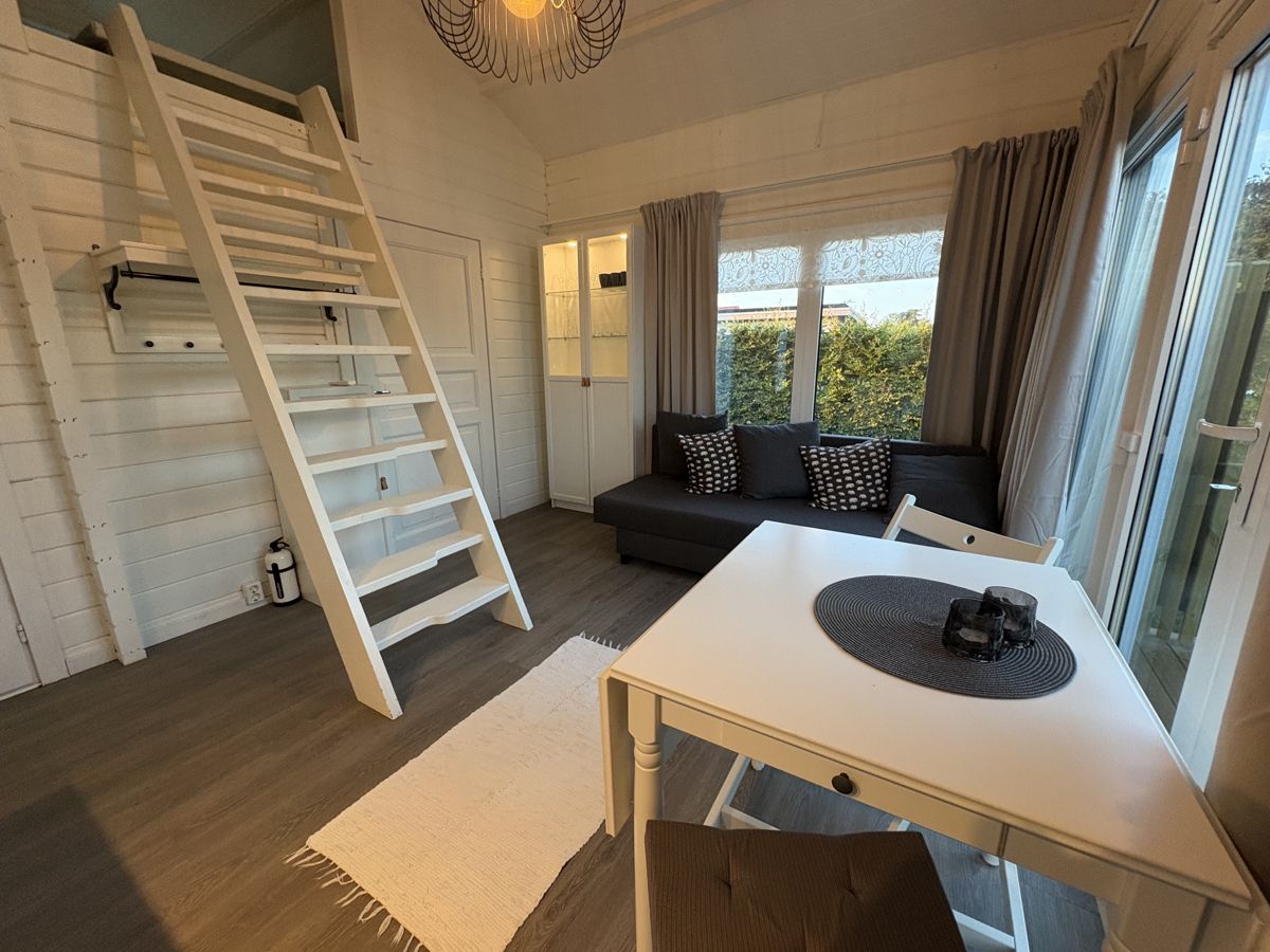 Wohn- und Essbereich mit Leiter zum Loft
