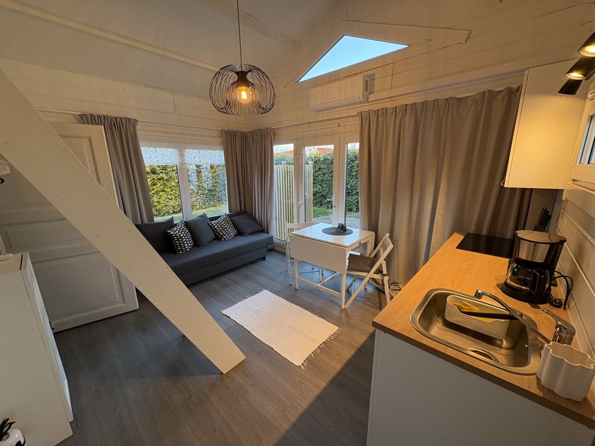 Wohn- und Essbereich mit Leiter zum Loft